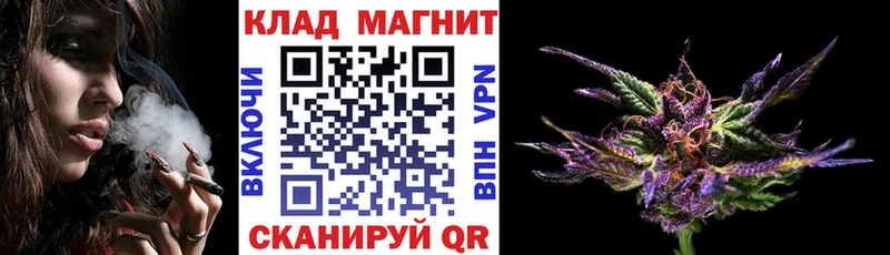  COCAIN Шелехов