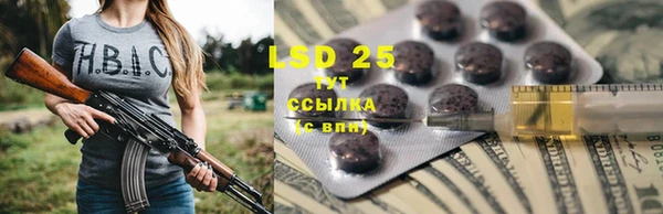 МДПВ Алзамай