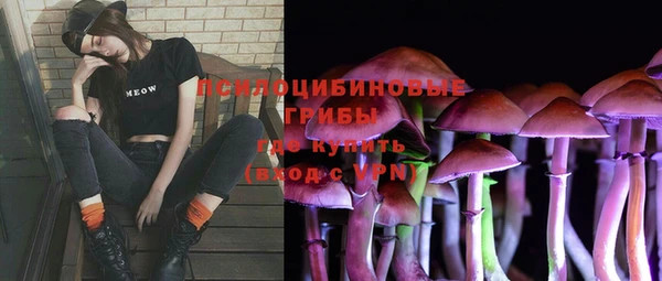МДПВ Алзамай