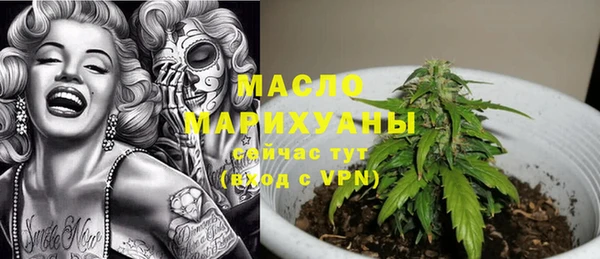 молекула духа Алексеевка