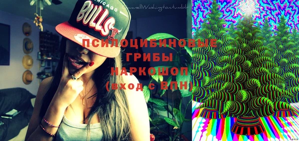 молекула духа Алексеевка