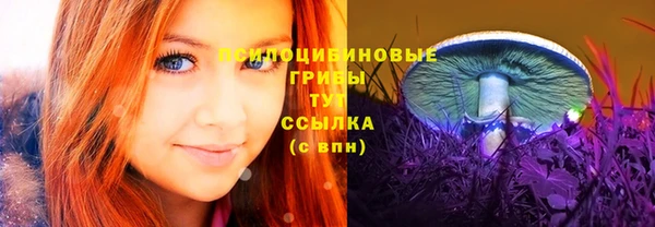 ALPHA-PVP Алексин